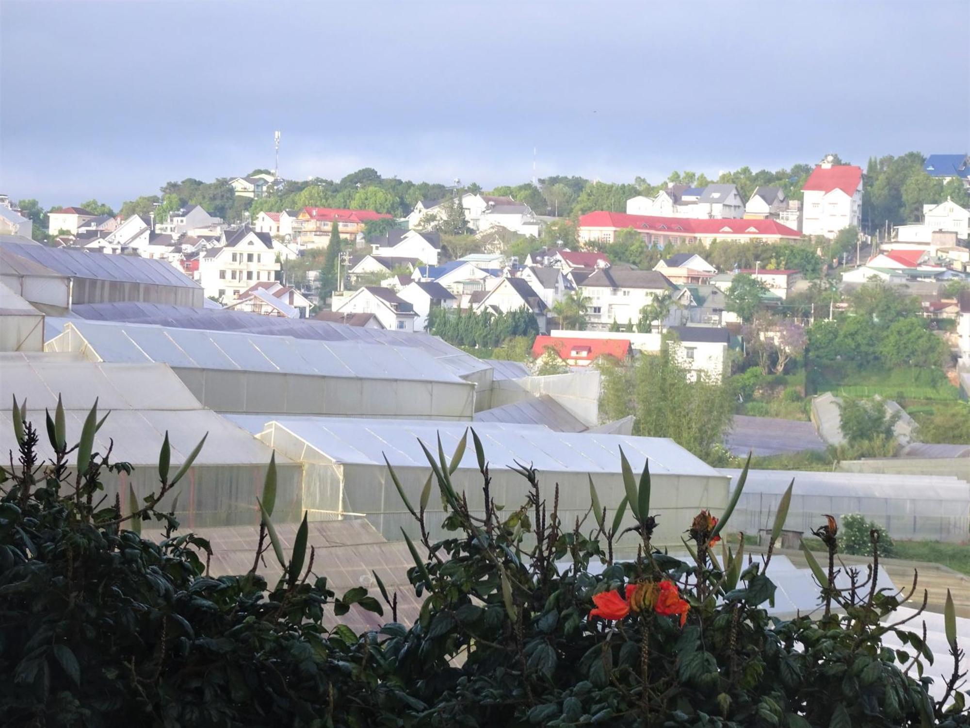 Mento Villa Da Lat Eksteriør billede